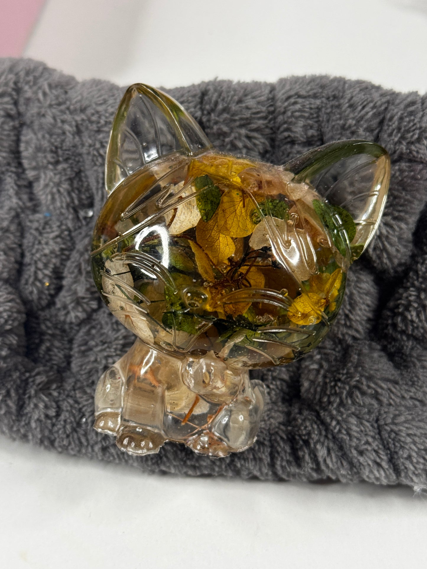Lachende Katze