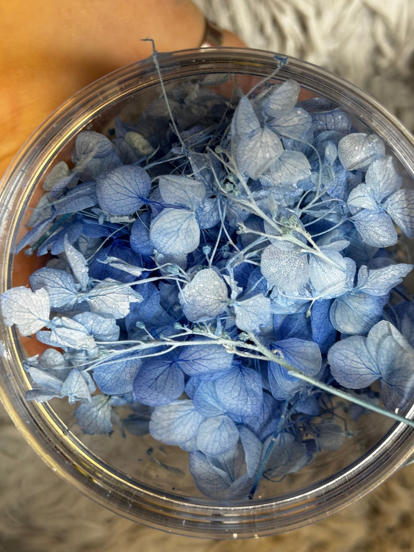 Eleganter Fuchs Wunsch