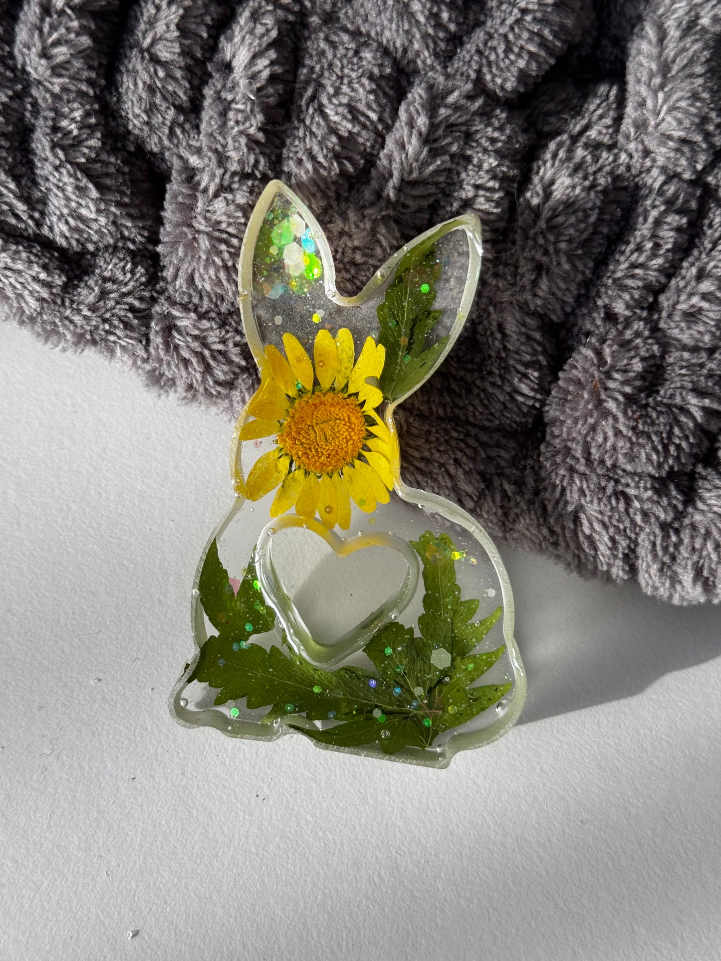 Hase klein