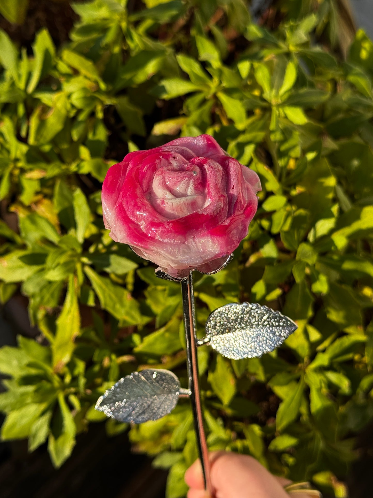 Ewige Rosen