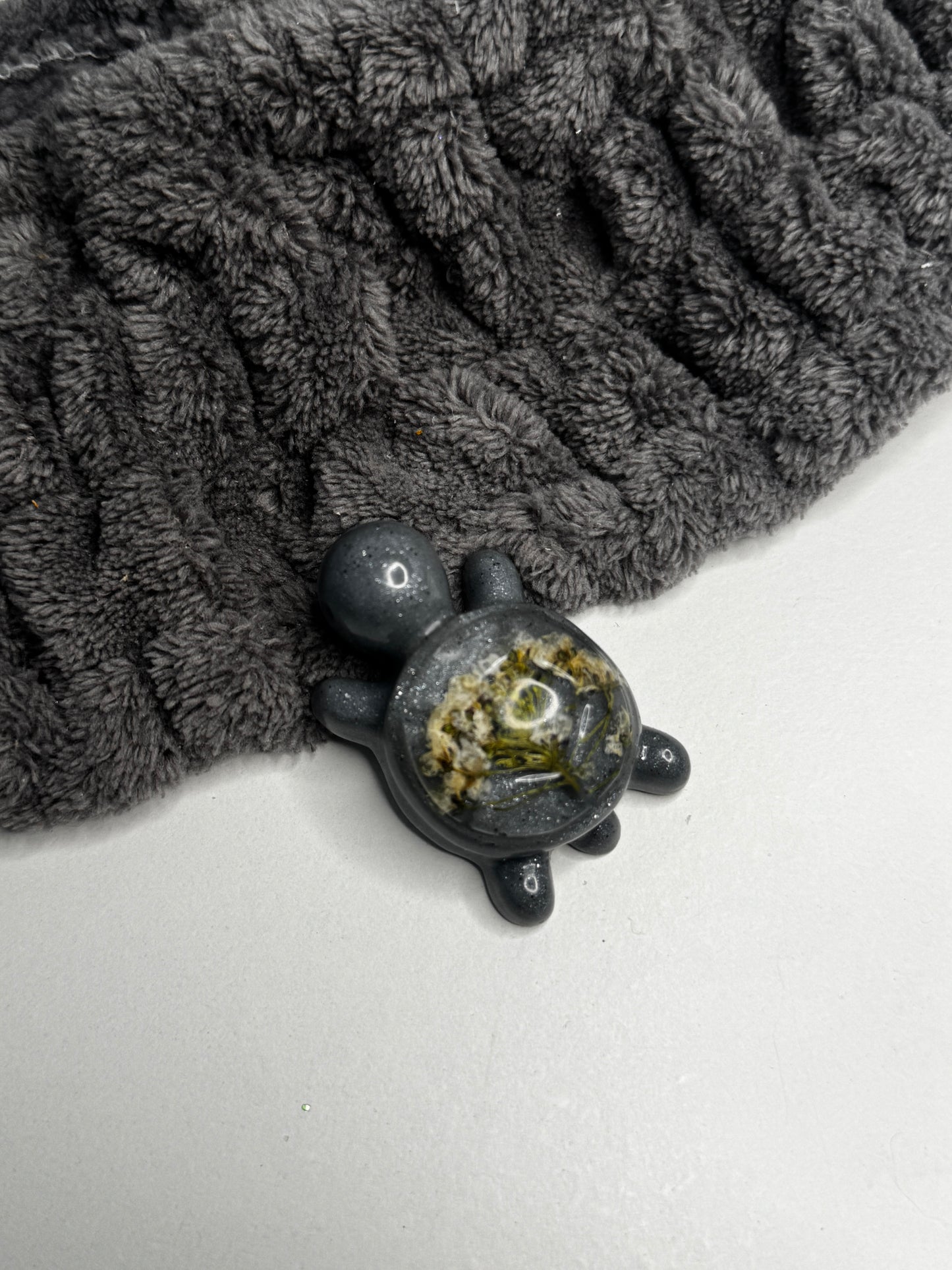 Schildkröten