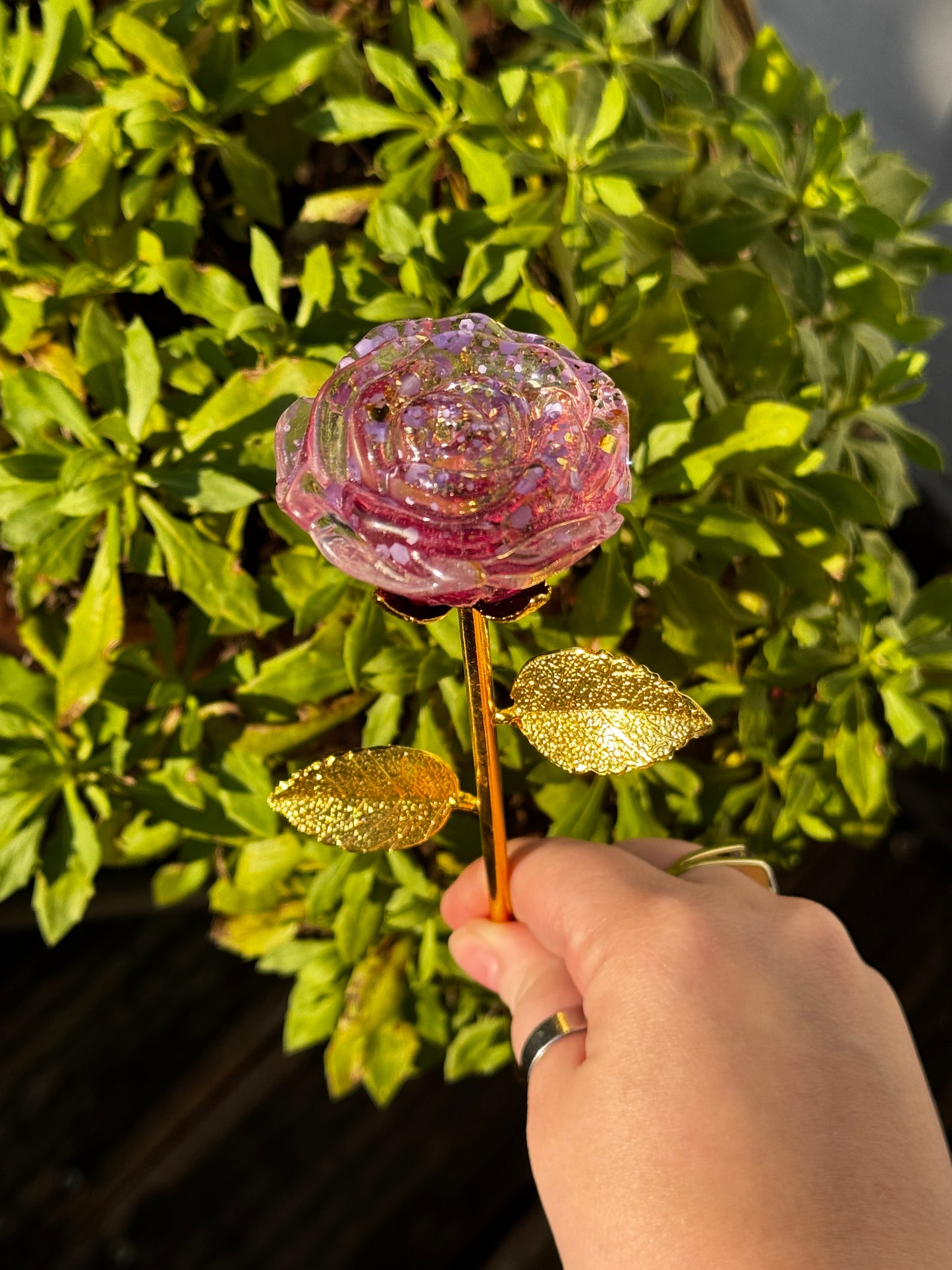 Ewige Rosen