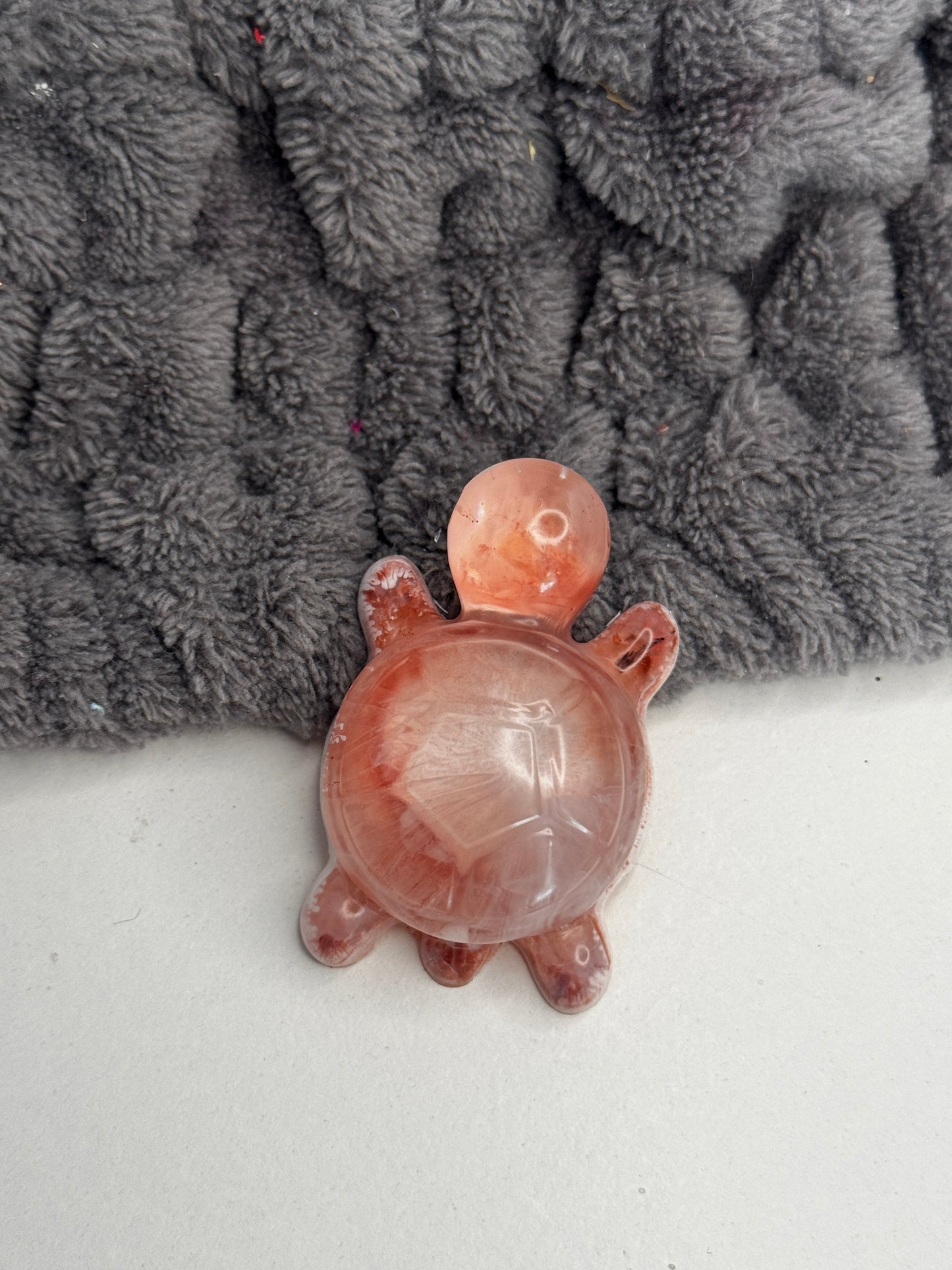 Schildkröten
