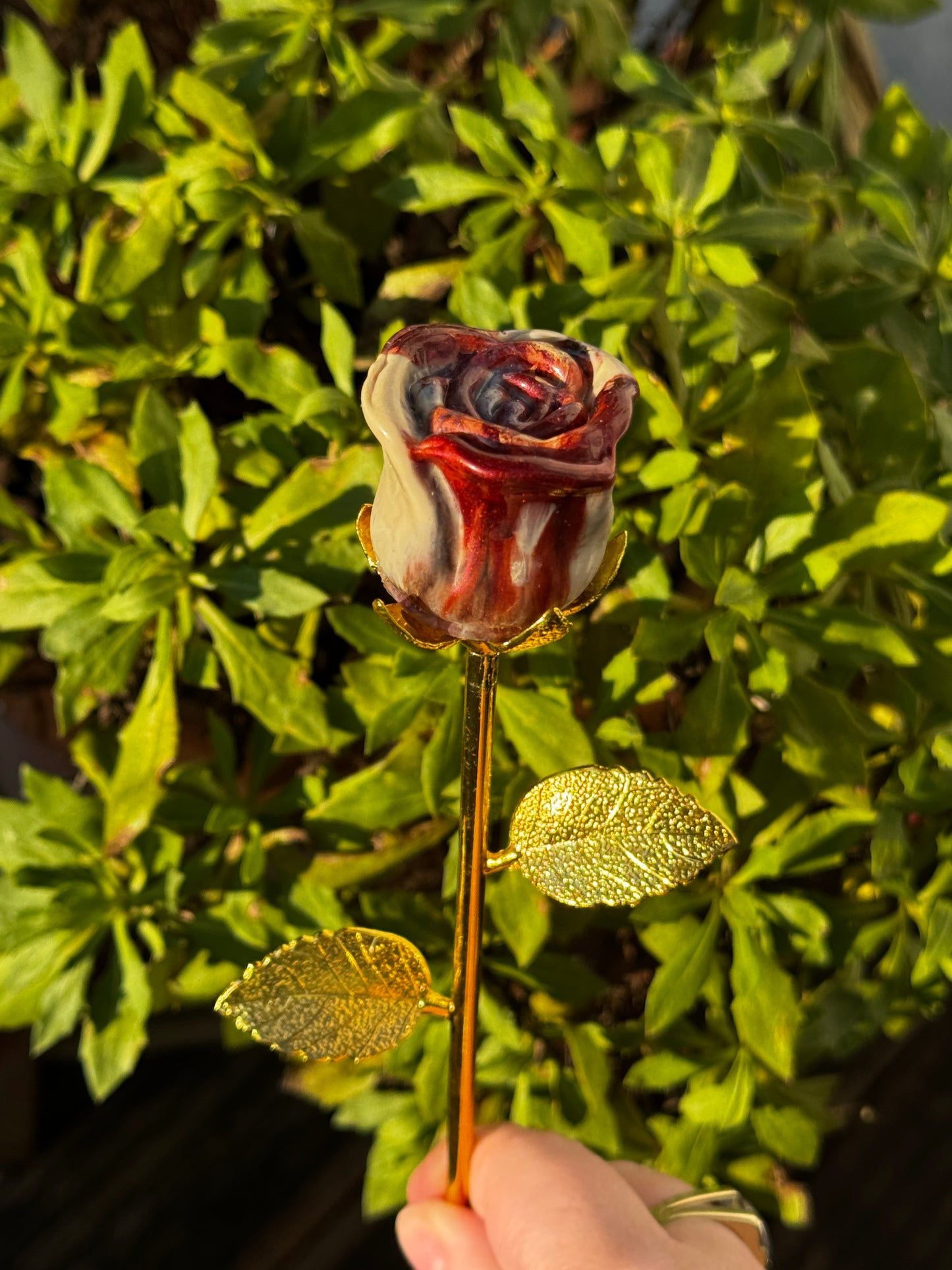 Ewige Rosen