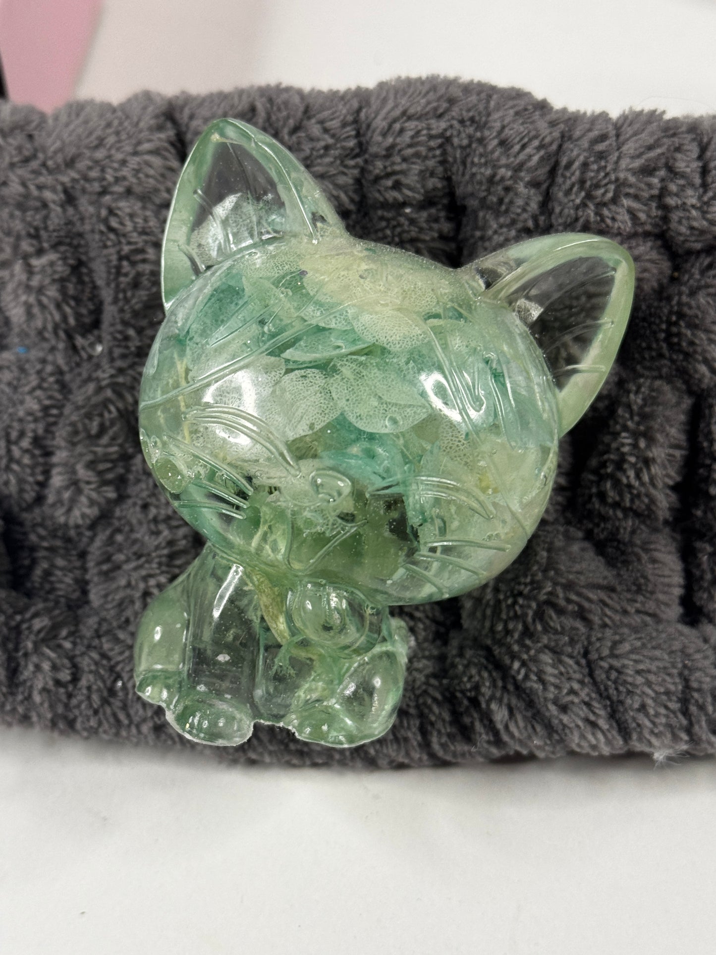 Lachende Katze