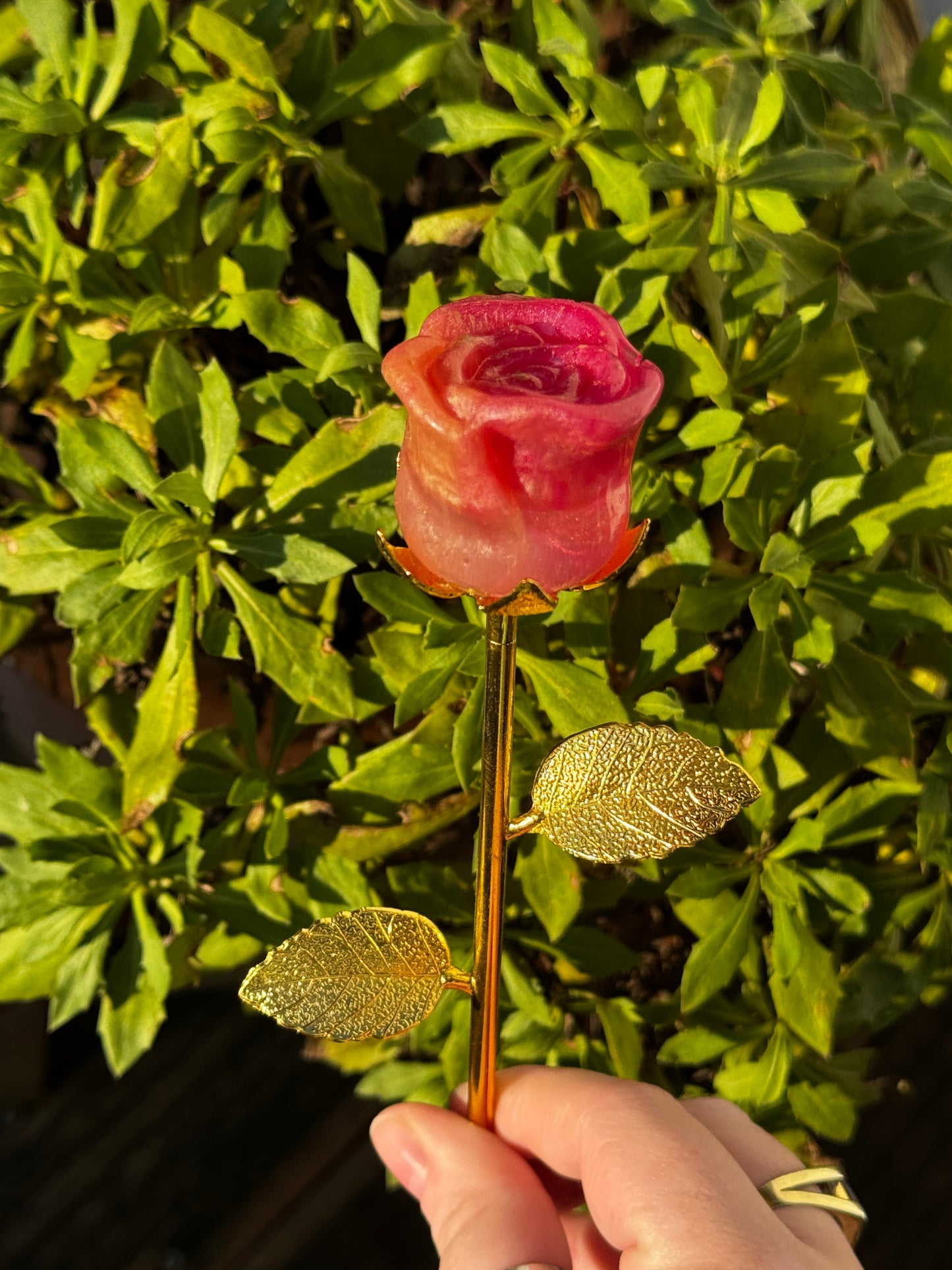 Ewige Rosen