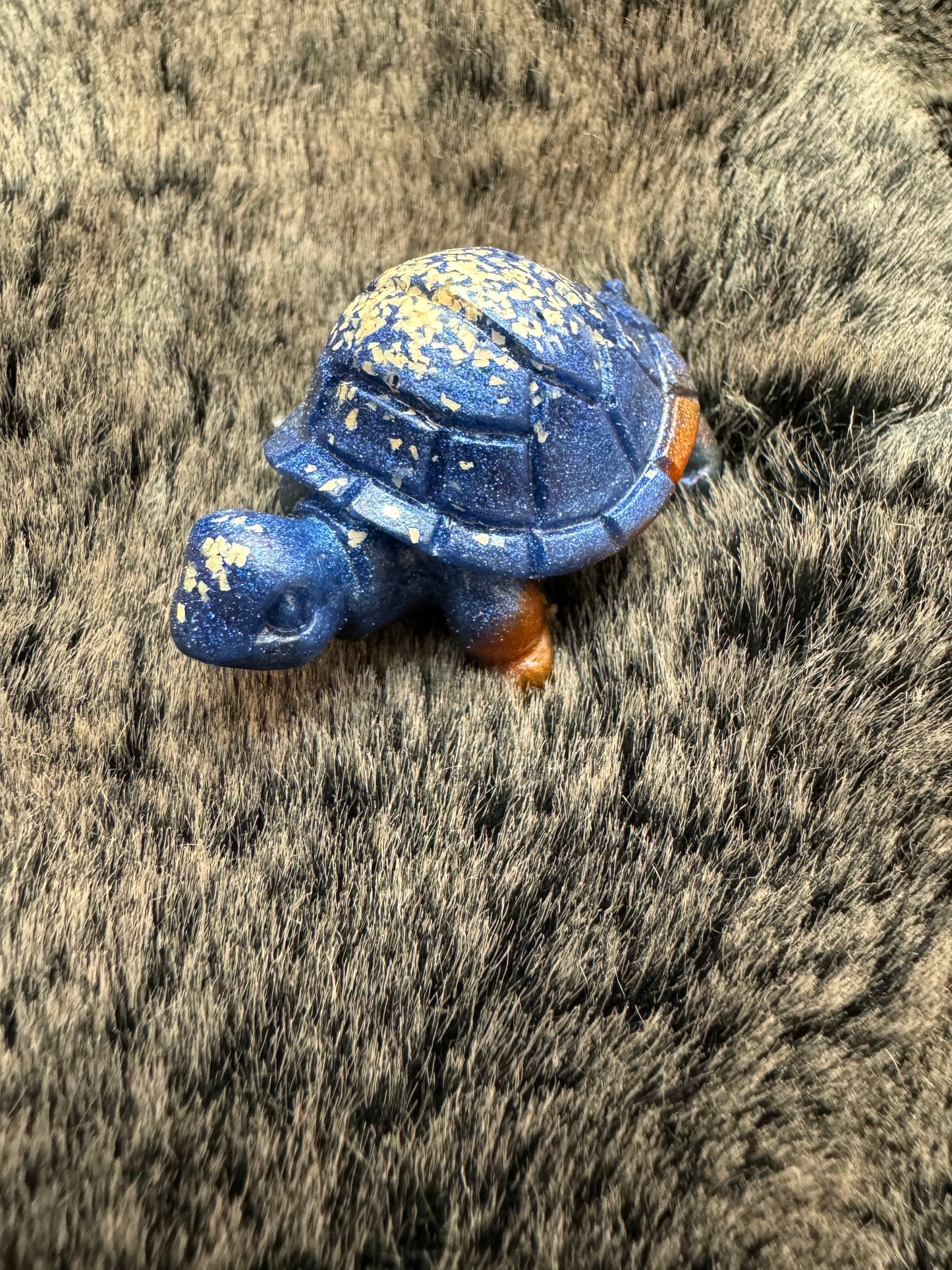 Schildkröten