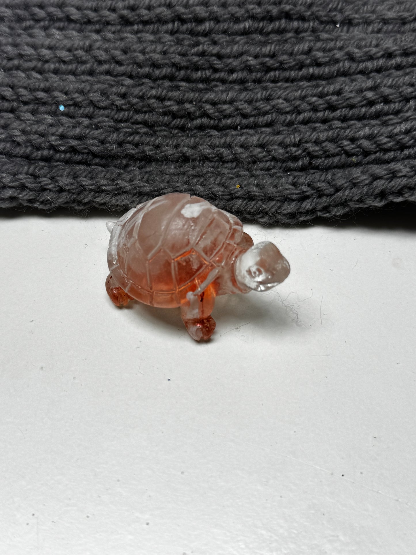 Schildkröten