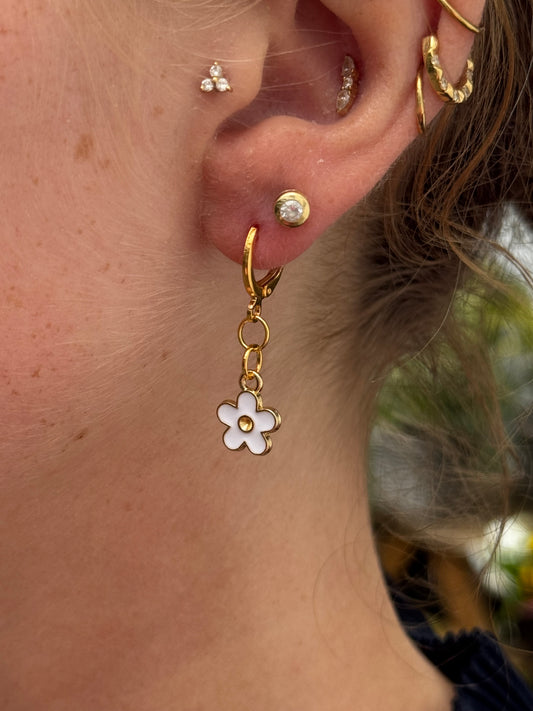 Kleine Goldblümchen