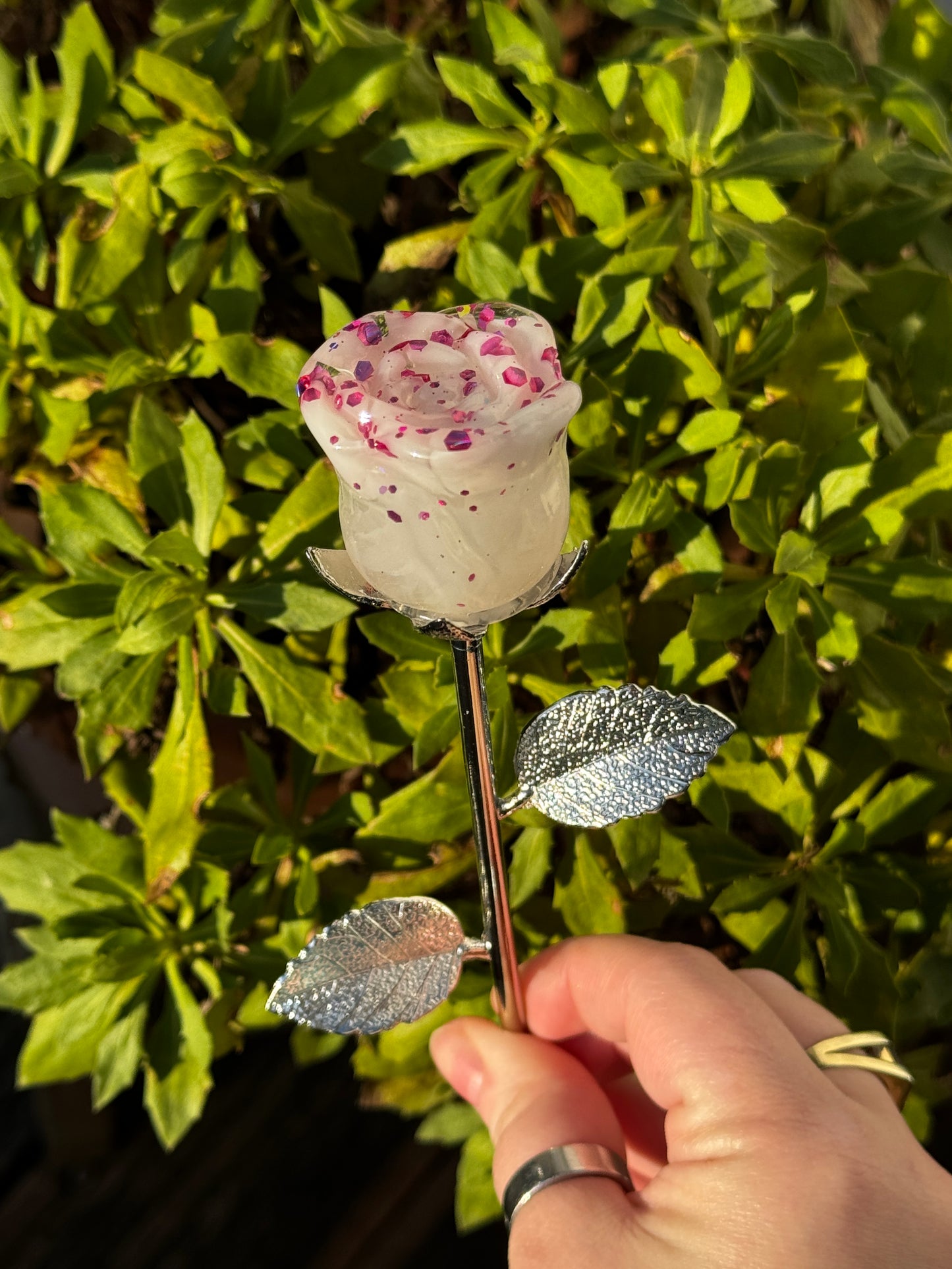 Ewige Rosen