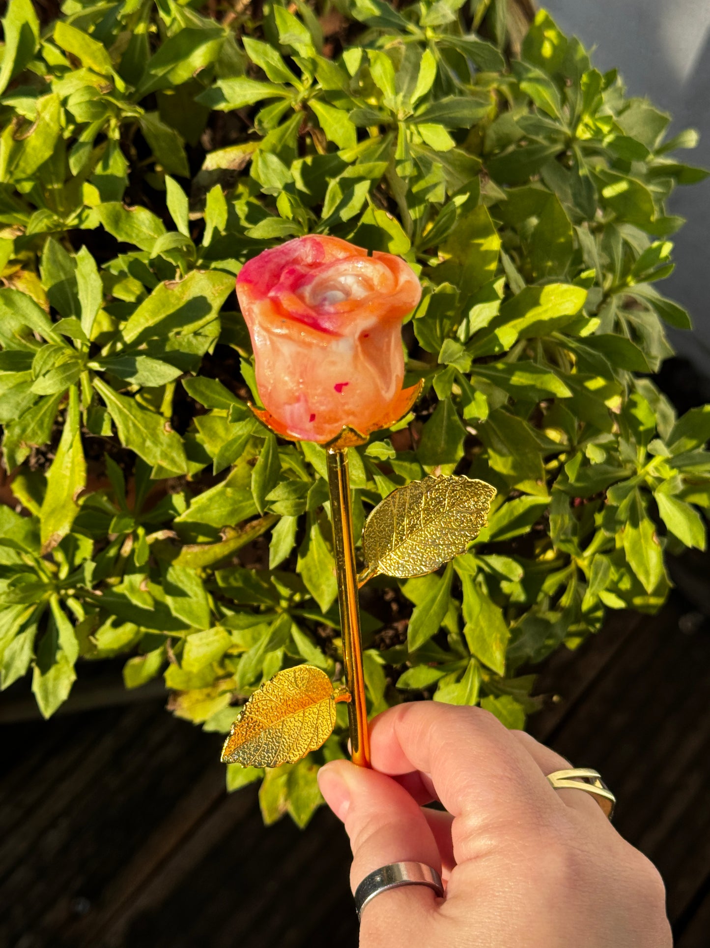 Ewige Rosen