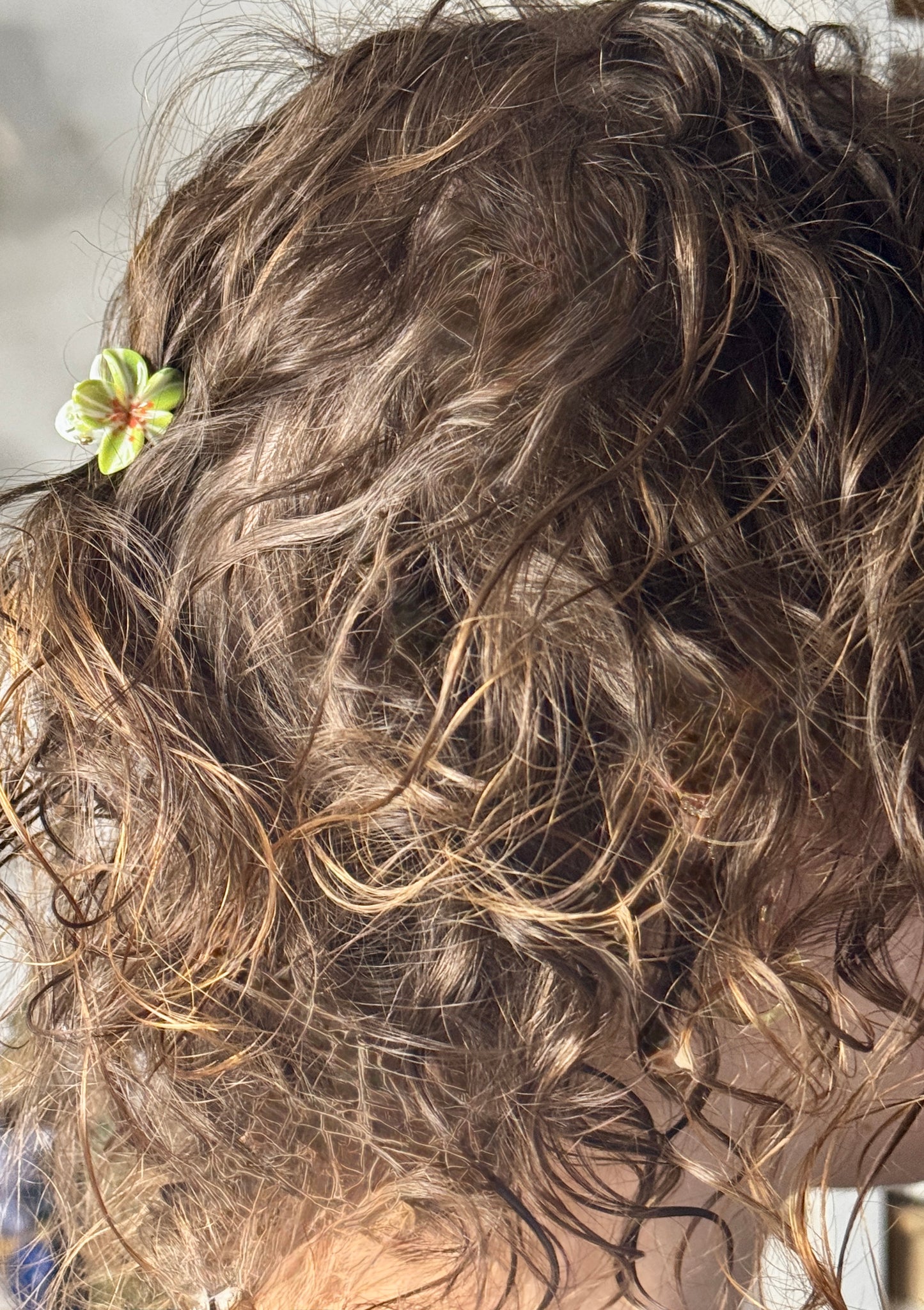 Orchideen Haarklammern klein